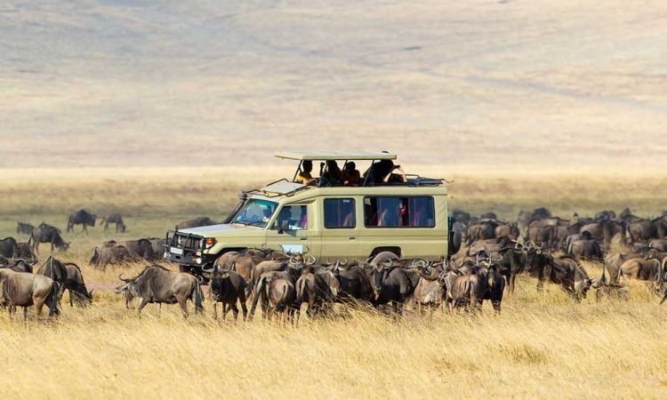 Murchison Falls