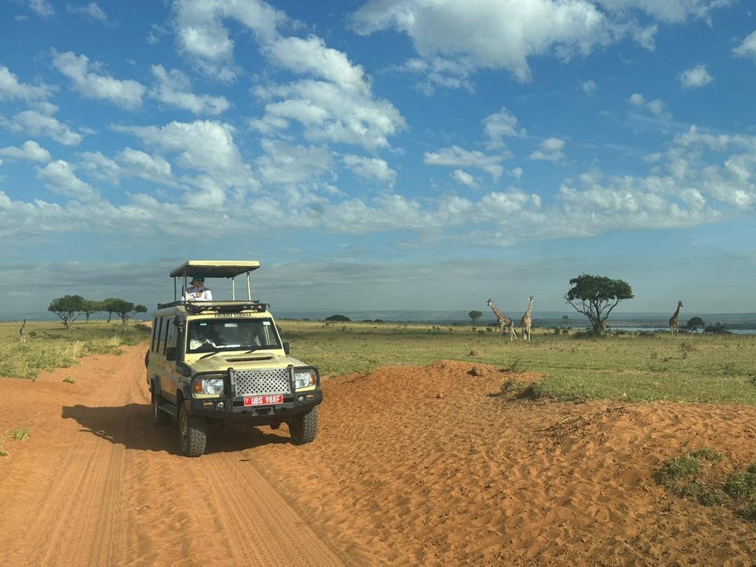Uganda Safaris